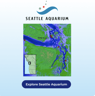 Seattle aquarium exhibit